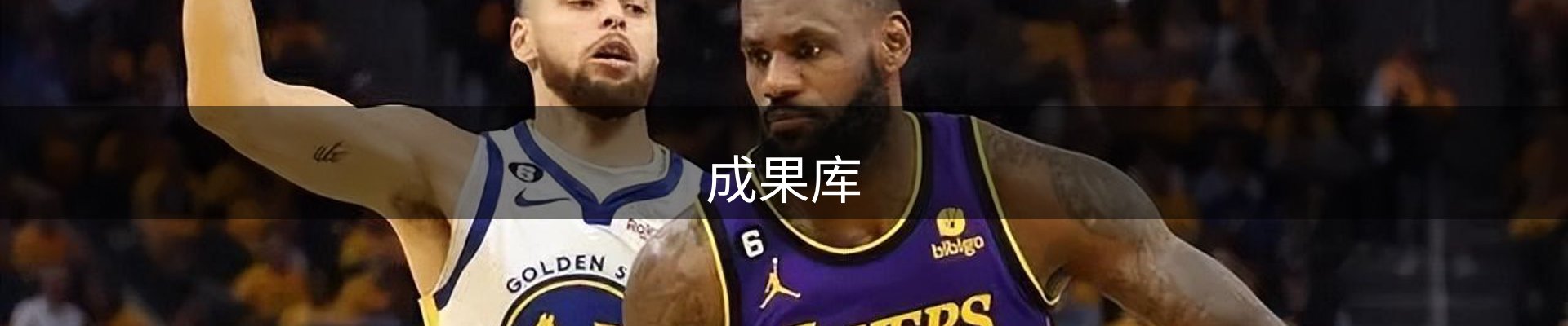 成果库