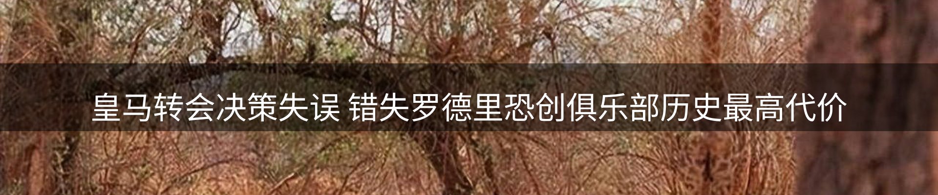 新闻窗口